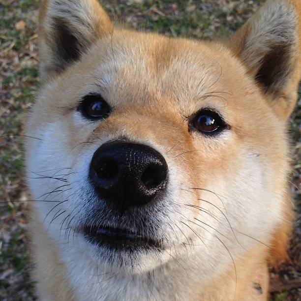 开云体育APP下载-CBA球队完善青训培养体系，cba青训队年龄要求  第1张