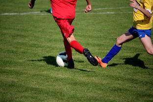 开云体育APP下载-羽毛球国家队封闭训练专注体能与反应，羽毛球国家队是怎么训练的  第2张